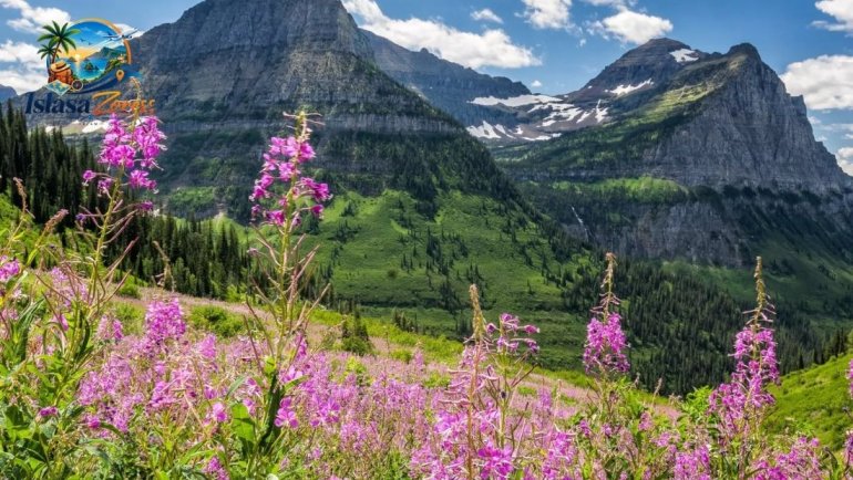 20 Best Spring Trips in the U.S. for Flowers, Beaches, Parks & More 