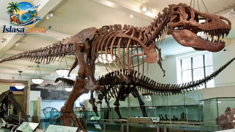 American Museum of Natural History