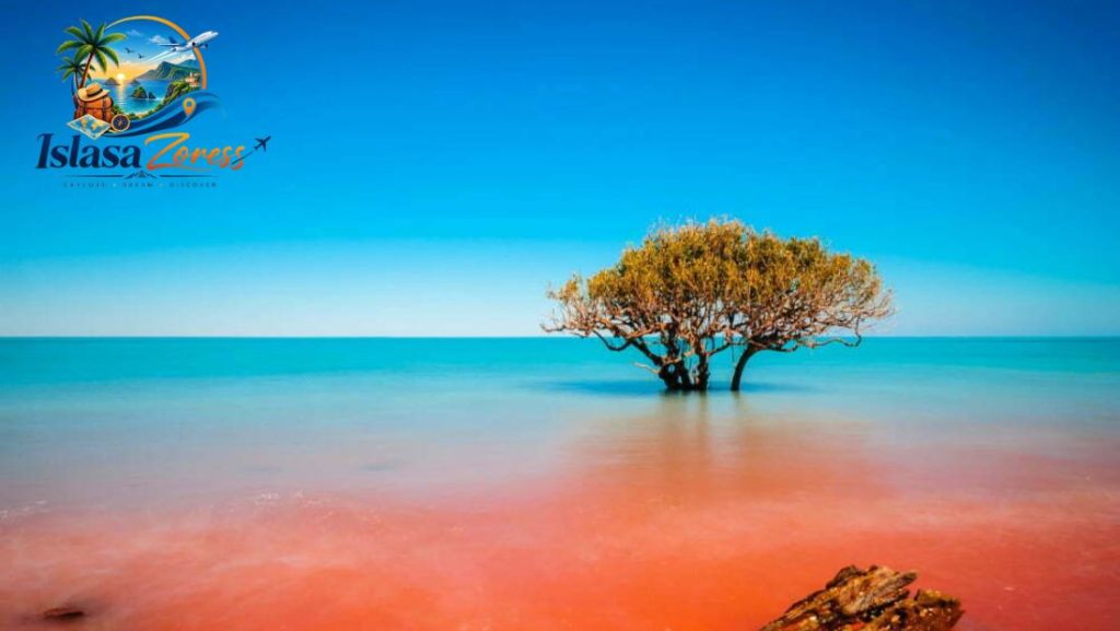 Best Solo trip Destinations for women australia