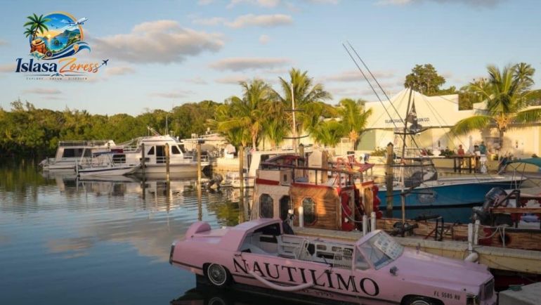 best things to do in Islamorada, Florida