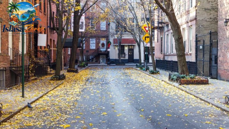 Things to Do in New York City Greenwich Village and Chelsea