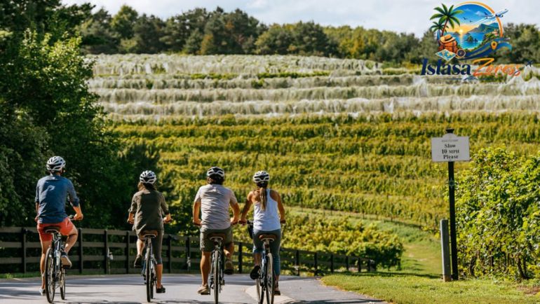 Walk or Bike the Leelanau Trail