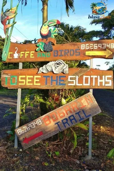 Bogarin Trail and La Fortuna Town