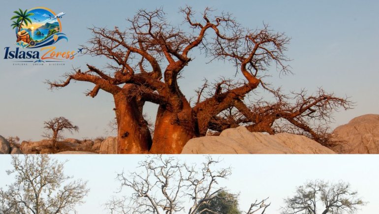 Maun, Botswana