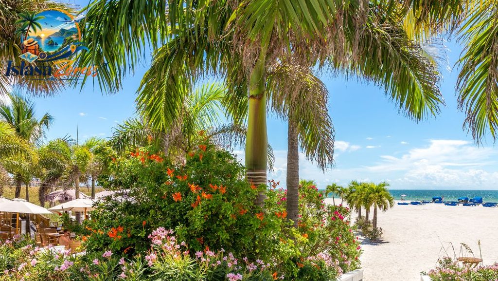 Solo Travel Destinations For Female in Key West, Florida
