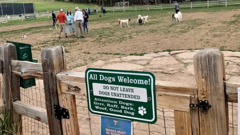 Let Your Dog Run at Carter Park Dog Park