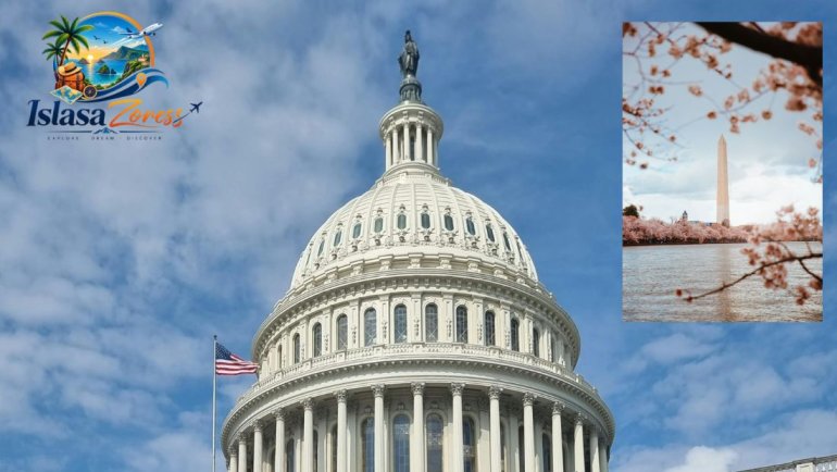 Solo Travel Destinations For Female in Washington, D.C.